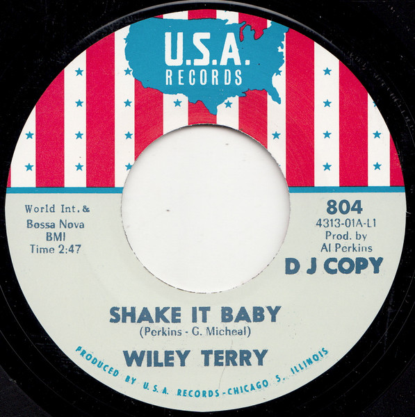 Wiley Terry / Miss Ann Littles – Shake It Baby / I Will Be Got Dog (7")