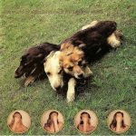 The World Of Skin* - Ten Songs For Another World (CD, Album)