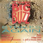 Various - The Big Buzz Strikes Again (CD, Comp, Ltd)