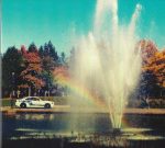 Douglas Firs - Hinges Of Luck (CD, Album)