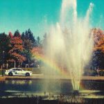 Douglas Firs - Hinges Of Luck (CD, Album)