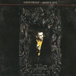 Gavin Friday - Adam 'n' Eve (CD, Album)