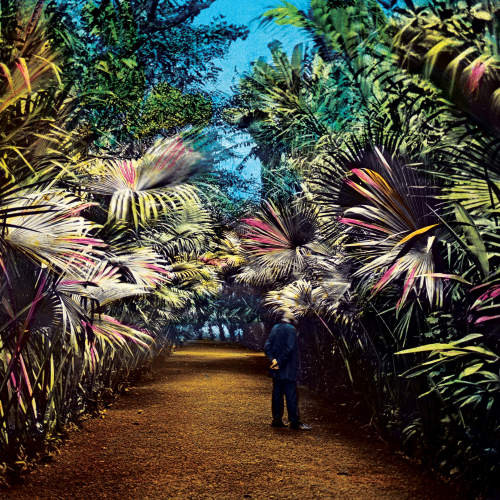 Tim Knol - Cut The Wire (CD, Album, Dig)