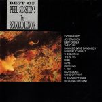 Various - Best Of Peel Sessions par Bernard Lenoir (CD, Comp)