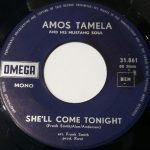 Amos Tamela And His Mustang Soul* - She'll Come Tonight / It Didn't Hurt (7", Mono)