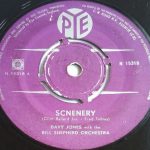 Davy Jones (6) - Scenery (7", Single)