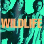 Wildlife (9) - Wildlife (CD, Album)