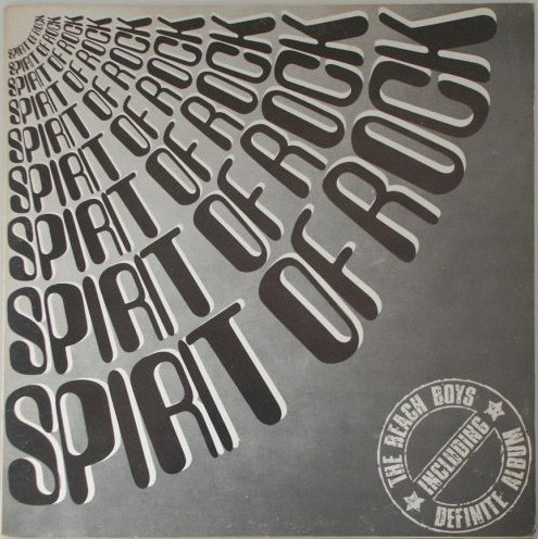 The Beach Boys - The Definite Album (LP, Comp, Gat)