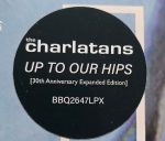 The Charlatans - Up To Our Hips (LP, Album, Bioplastic, RE + LP, Comp, Bioplastic +) - Afbeelding 4
