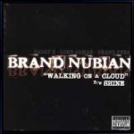 Brand Nubian - Walking On A Cloud / Shine (12")