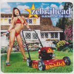 Zebrahead - Playmate Of The Year (CD, Album)