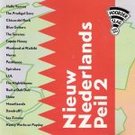 Various - Nieuw Nederlands Peil 2 - Noorderslag 1986-1994 (CD, Comp)