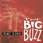 Various - The Big Buzz Rides Again (CD, Comp)