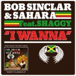 Bob Sinclar & Sahara (10) Feat. Shaggy - I Wanna (CD, Maxi)