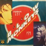 The Blow Monkeys With Curtis Mayfield - (Celebrate) The Day After You (12")