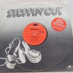 Roxy Roller - I Need A Holiday (12", Single)