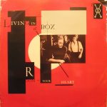 Living In A Box - Room In Your Heart (12", Single)