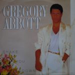 Gregory Abbott - Shake You Down (Extended Version) (12", Single)