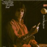 Mike Toole Band - Part of your Appetite (LP, Album)