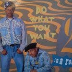 2 In A Room - Do What You Want (Remixes) (12")