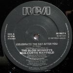 The Blow Monkeys With Curtis Mayfield - (Celebrate) The Day After You (12") - Afbeelding 3