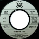 Caron Wheeler - Livin' In The Light (7", Single) - Afbeelding 3