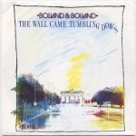 Bolland & Bolland - The Wall Came Tumbling Down (12", Maxi)