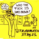 Traumatic Stress - Who The Fuck Is James Brown? (CD, Maxi)
