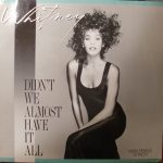 Whitney Houston - Didn't We Almost Have It All (12", Maxi)