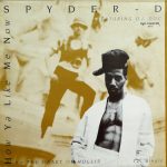 Spyder-D Featuring D.J. Doc* - How Ya Like Me Now / The Heart Of Hollis (12")