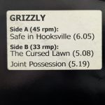 Grizzly (8) - Safe In Hooksville (12", Promo, W/Lbl)