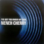 Neneh Cherry - I've Got You Under My Skin (12", Single)