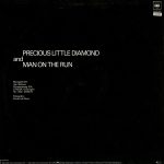 Fox The Fox - Precious Little Diamond (Special Remix) (12", Maxi) - Afbeelding 2