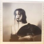 The Pachinko Fake - Look The Other Side (12", Maxi)