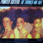 Pointer Sisters - He Turned Me Out (12", Maxi)