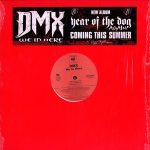 DMX - We In Here (12")