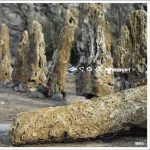 Insight (2) - Evolve (12", Single)