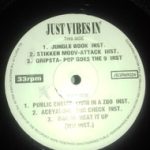 Various - Just Vibes In' (12", Unofficial)