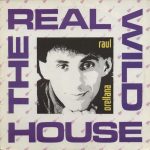 Raul Orellana* - The Real Wild House (12", Single)