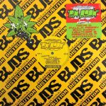 Nikki D, Paula Perry, Rah Digga, Heather B., Precious Paris & Bahamadia - Six-Pack (12")