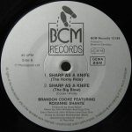 Brandon Cooke Featuring Roxanne Shanté-1