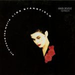 Lisa Stansfield - All Around The World (12", Maxi)