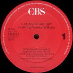 C & C Music Factory* Featuring Freedom Williams-2