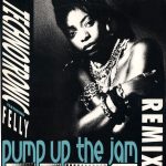 Technotronic Featuring Felly - Pump Up The Jam (Remix) (12", Single)