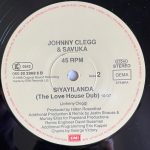 Johnny Clegg & Savuka-2