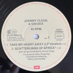 Johnny Clegg & Savuka-3