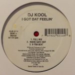 DJ Kool - I Got Dat Feelin' / Back To The Old School (12")