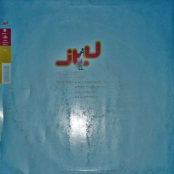 Joe T. Vannelli Project Feat. Alison Limerick-1