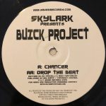 Skylark Presents Buick Project-3