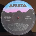 Taylor Dayne-2